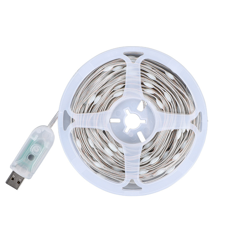 Bluetooth APP USB Color Chasing RGBIC LED Fairy Lights 10m/32.8ft RF Remote Control Outdoor String Lights